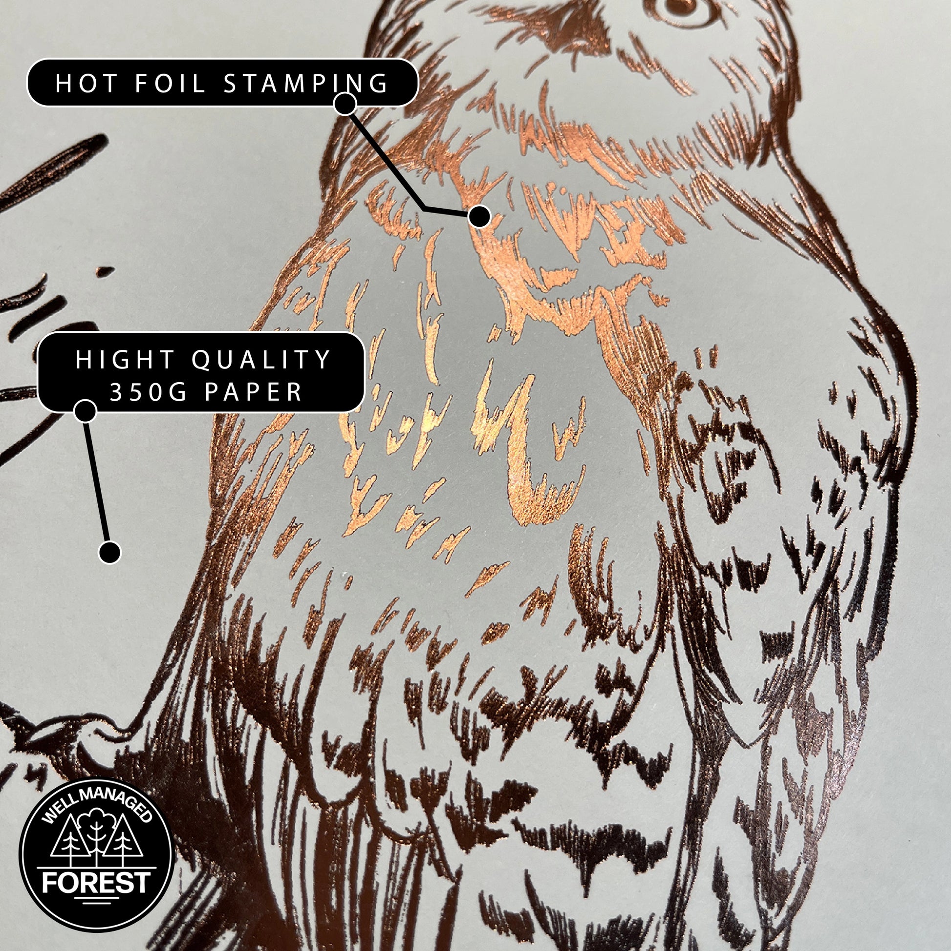 Détails sur l'affiche de collection Hedwige - Harry Potter, avec marquage à chaud en cuivre pour une finition élégante.