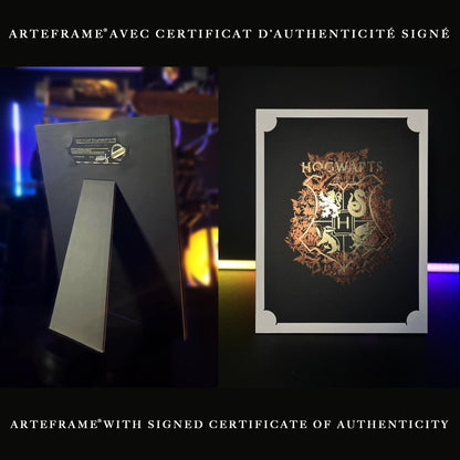Affiche de collection Poudlard - Harry Potter en orientation portrait, idéale pour orner les murs de votre chambre ou bureau.