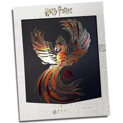 Affiche de collection Ordre du Phénix - Harry Potter, présentant un design captivant avec des couleurs vives, parfaite pour les fans de l'univers magique.