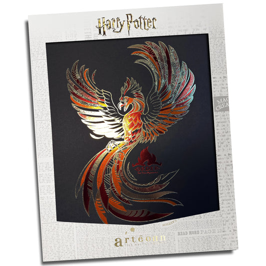 Affiche de collection Ordre du Phénix - Harry Potter, présentant un design captivant avec des couleurs vives, parfaite pour les fans de l'univers magique.