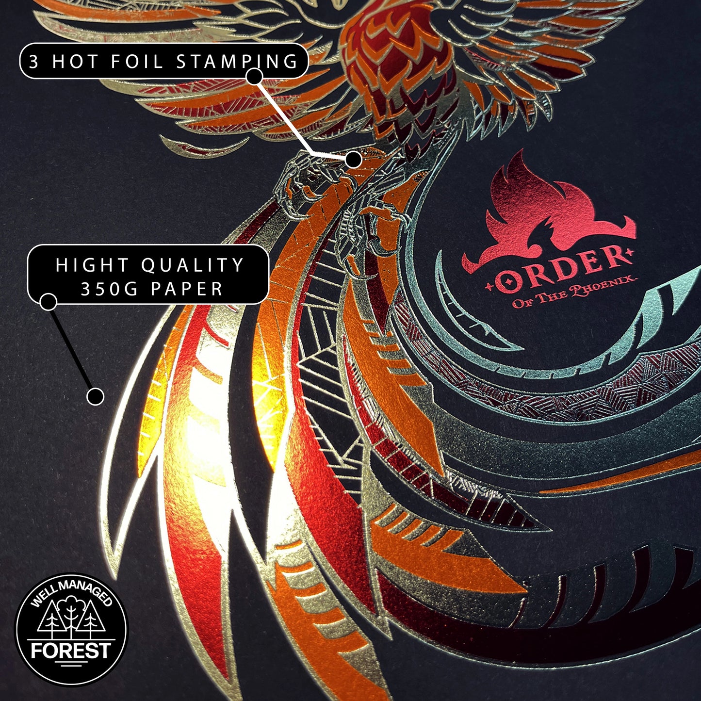 Zoom sur l'affiche de collection Ordre du Phénix - Harry Potter, mettant en avant les détails brillants du marquage doré et rouge métal.