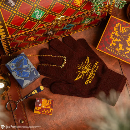 Détails colorés et variés du Calendrier de l’avent 2025 Deluxe Quiddtich Harry Potter, proposé par Distrineo.