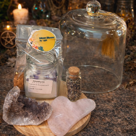 Box des 4 éléments - Moonbloom by Light