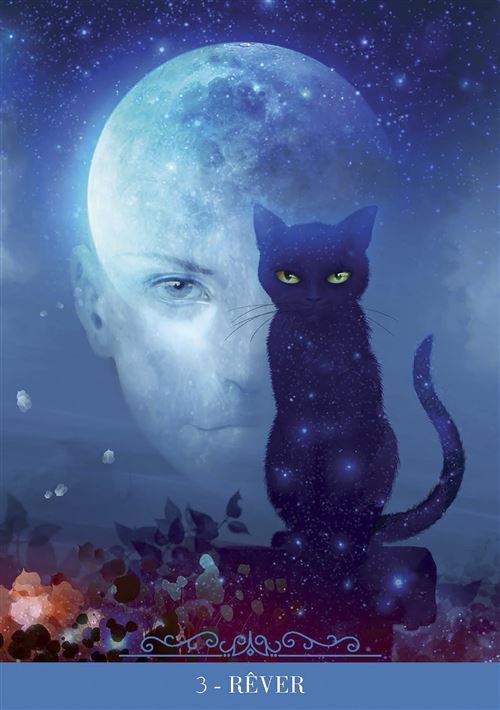 Coffret de l'Oracle des Chats Fantasy, incluant un livre d'explications détaillées sur l'interprétation des cartes mystérieuses.