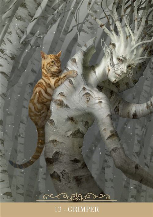 Oracle des Chats Fantasy - Le livre d'accompagnement offrant des interprétations et des soins personnalisés pour chaque carte.