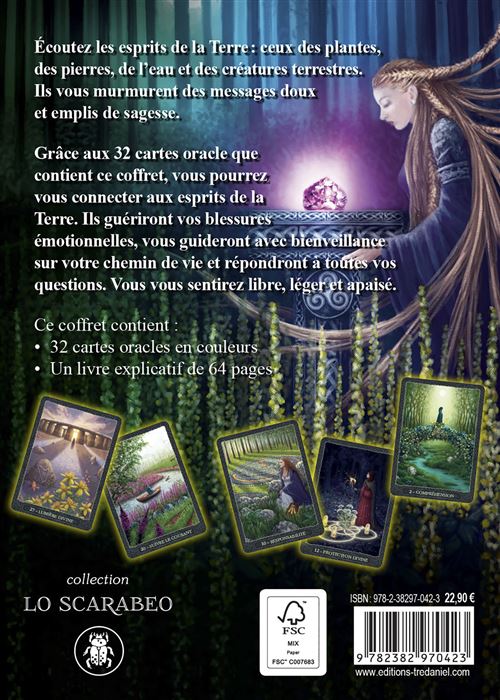 Illustration des Cartes Oracle Sagesse de la Terre, mettant en avant l'harmonie entre plantes, cristaux et traditions celtiques.