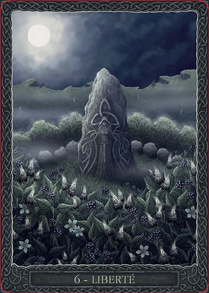 Cartes Oracle Sagesse de la Terre - Coffret, mise en scène du coffret dévoilant ses cartes inspirantes pour la méditation et la guidance.