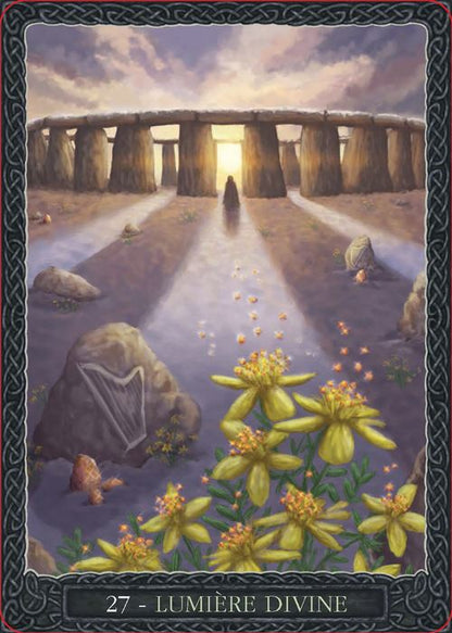 Cartes Oracle Sagesse de la Terre - Coffret, image des cartes en pleine action, renforçant l'idée de pleine conscience et de connexion unique.