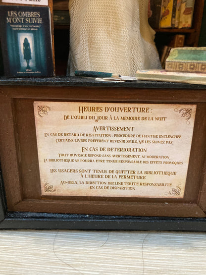 Détails captivants de 'La Bibliothèque de l'Indicible', où se cache le fantôme gardien des lectures oubliées.