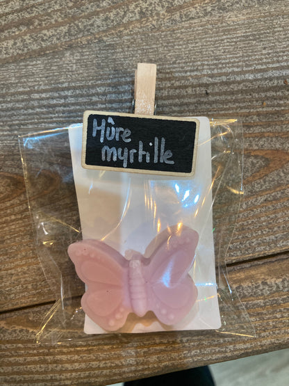 Fondants parfumés de L'Atelier de Carou, arômes persistants qui créent une atmosphère chaleureuse et accueillante.