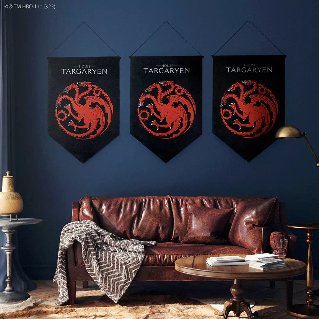 Bannière blason Targaryen - Game of Thrones présentée dans un espace de jeux, parfaite pour les fans du monde de Westeros.