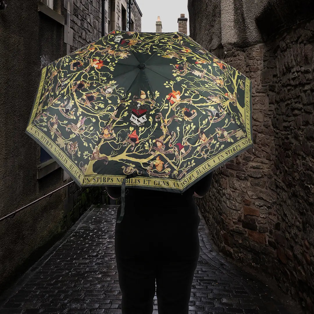 Parapluie Famille Black - Harry Potter, un accessoire magique contre la pluie avec un design élégant et des détails raffinés pour tous les fans de la saga.