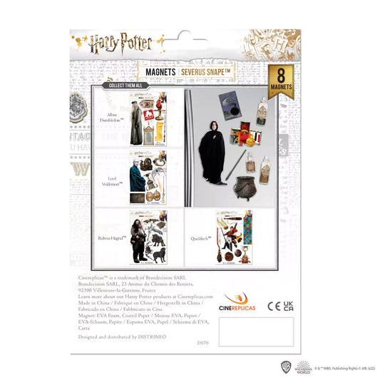Planche de magnets en mousse - Severus Rogue - Harry Potter : Décorations captivantes avec le professeur Rogue et des éléments de potions magiques.