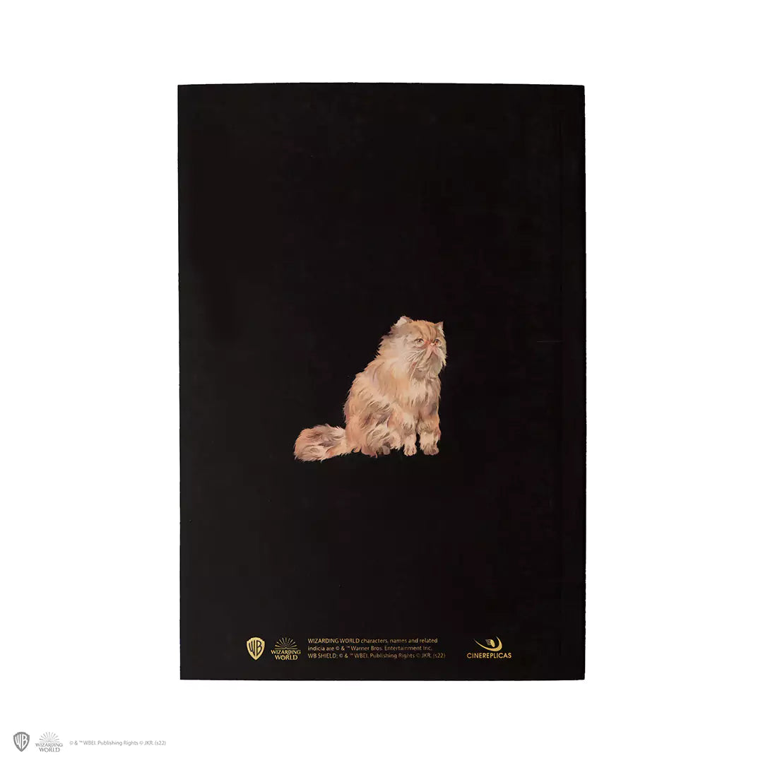 Couverture du Carnet Souple - Portrait d'Hermione Granger, mettant en avant une illustration captivante du personnage emblématique, idéale pour les fans d'Harry Potter.