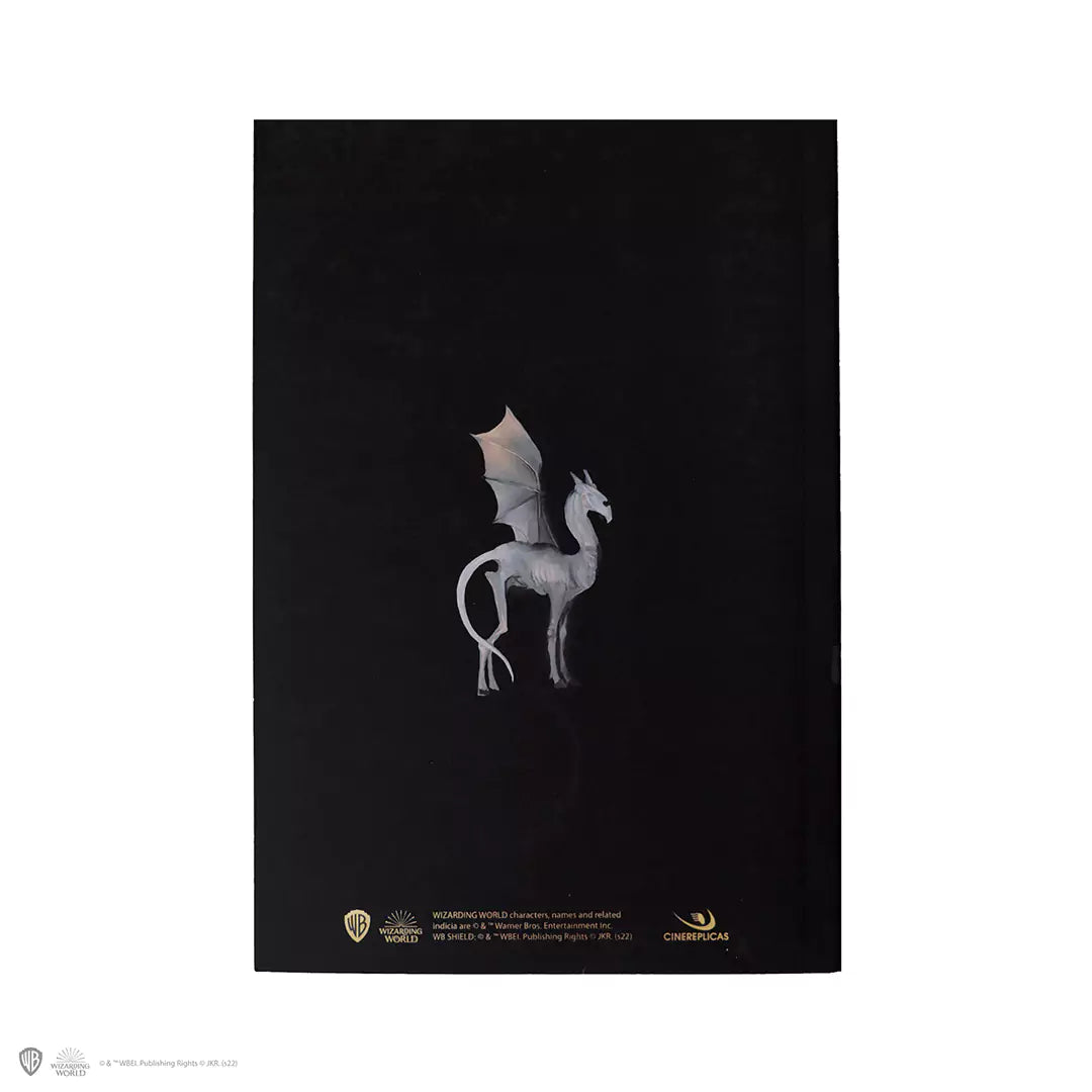 Carnet souple - Portrait de Luna Lovegood ouvert, révélant 120 pages blanches idéales pour la créativité et l'écriture.