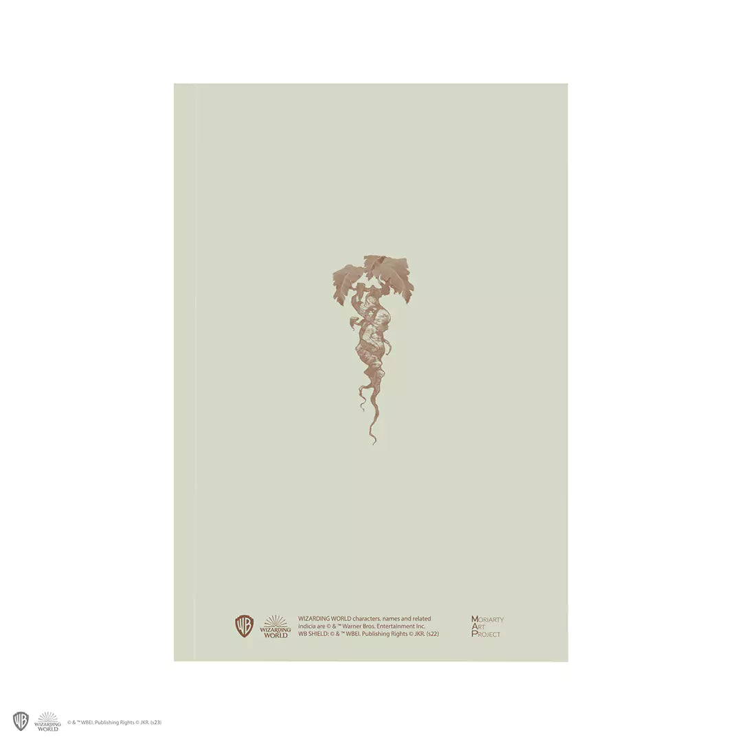 Pages intérieures du carnet souple Mandragore, 120 pages lignées pour capturer vos pensées et idées.