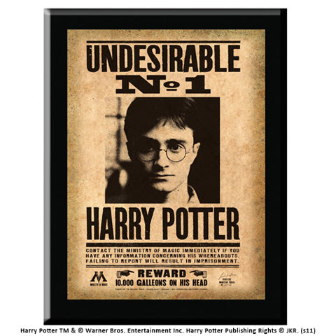 Plaque Undesirable Nà‚°1 Harry Potter