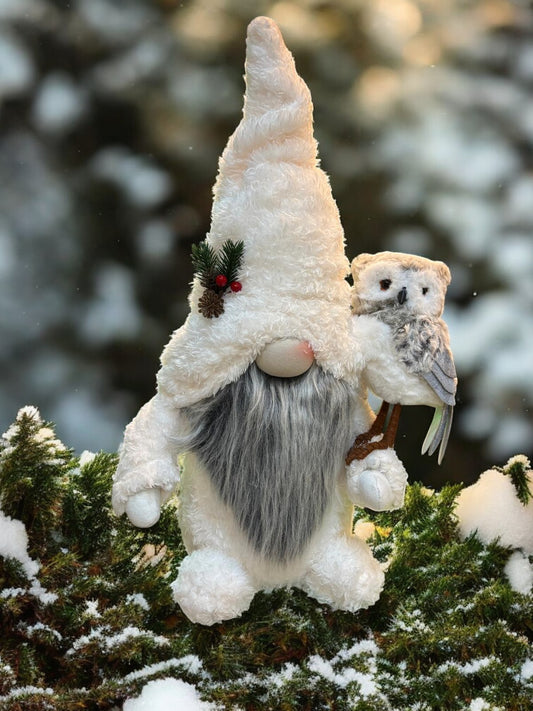 Petit Gnome Voyageur des Neiges avec son Hibou, un charme sage dans un manteau crème doux, illuminant les paysages glacés avec chaleur.