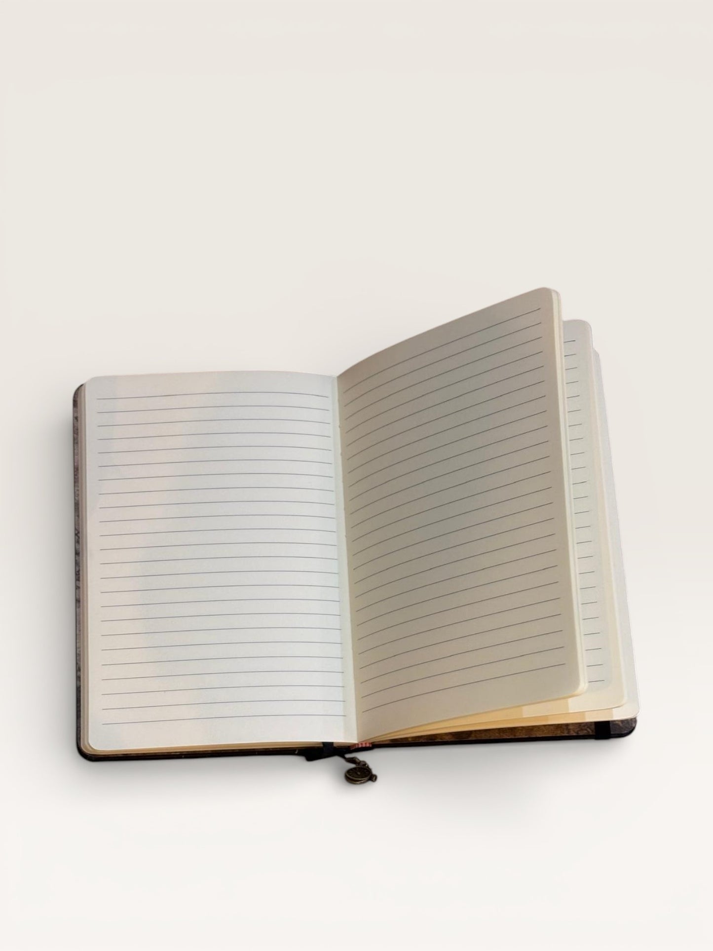 Carnet Libellule, pièce unique fabriquée à la main par MellySteph, parfait pour garder près de soi ou à offrir comme un talisman de papier.