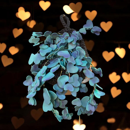 Support crochet plante bleu - MA FABRIQUE BIEN AIMEE