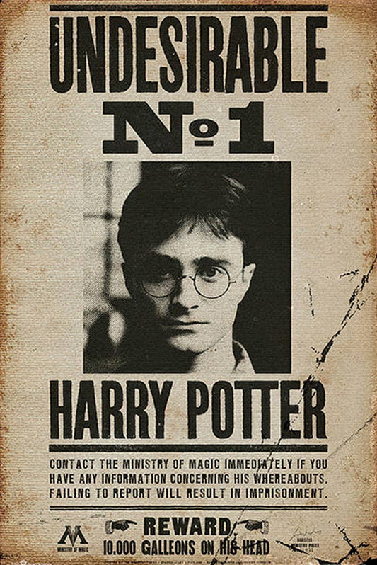 Affiche Harry Potter Indésirable n° 1 91,5 x 61 cm