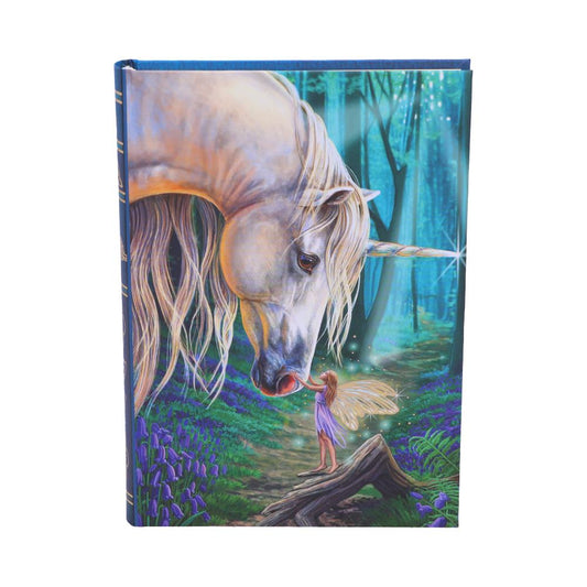 Journal des Murmures des Fées 17cm