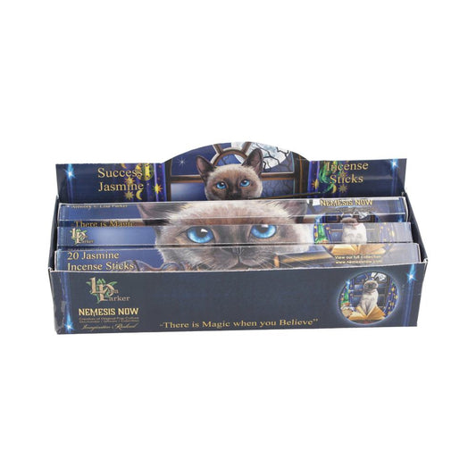 Lisa Parker Jasmine Scented Success Bâtonnets d’encens