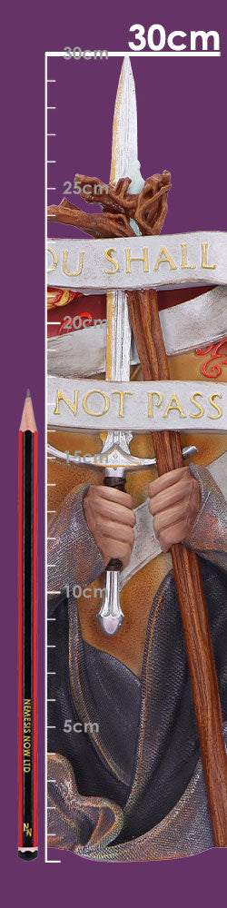Plaque murale en résine 30,4 cm Gandalf 'Tu ne passeras pas', un objet de décoration épique pour les amateurs de fantasy.