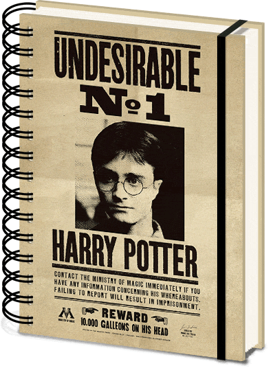 Carnet 3D Harry Potter (Sirius & Harry)