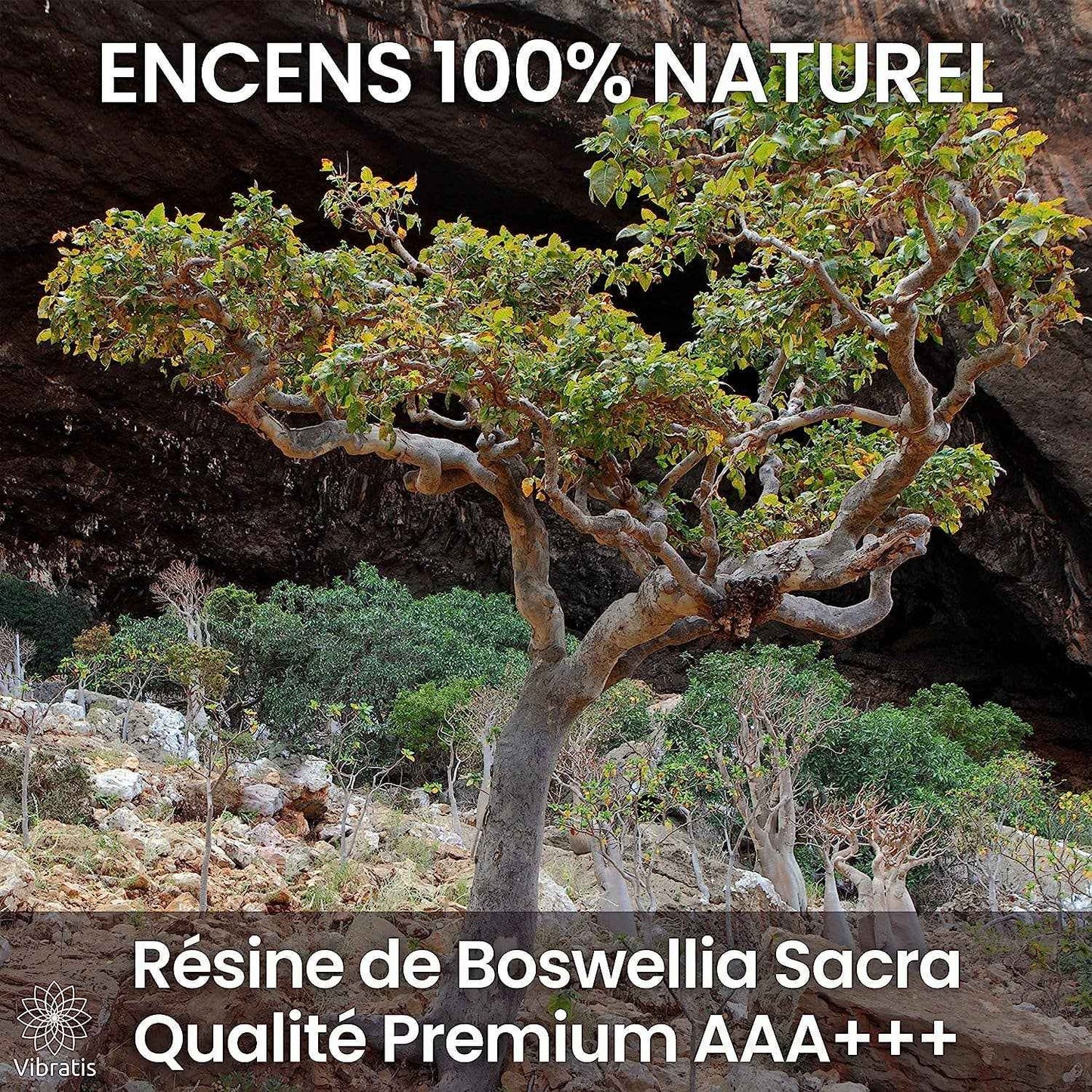 100g d'encens oliban dans le coffret de fumigation Vibratis, pour transformer votre espace en havre de paix.