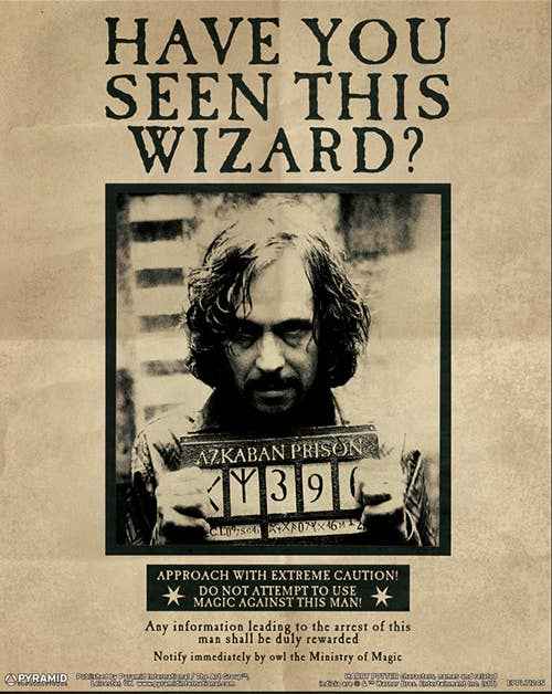 Image lenticulaire 3D d'Harry Potter représentant Harry et Sirius, créée par Pyramid International, offrant une expérience visuelle immersive et magique.