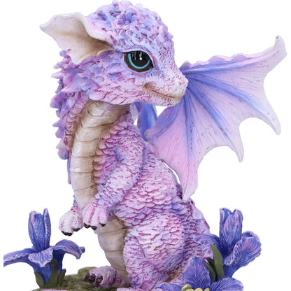 La Figurine du Dragon Fleur d’Iris 12 cm, un accessoire décoratif enchanteur qui illumine chaque espace avec son allure poétique.