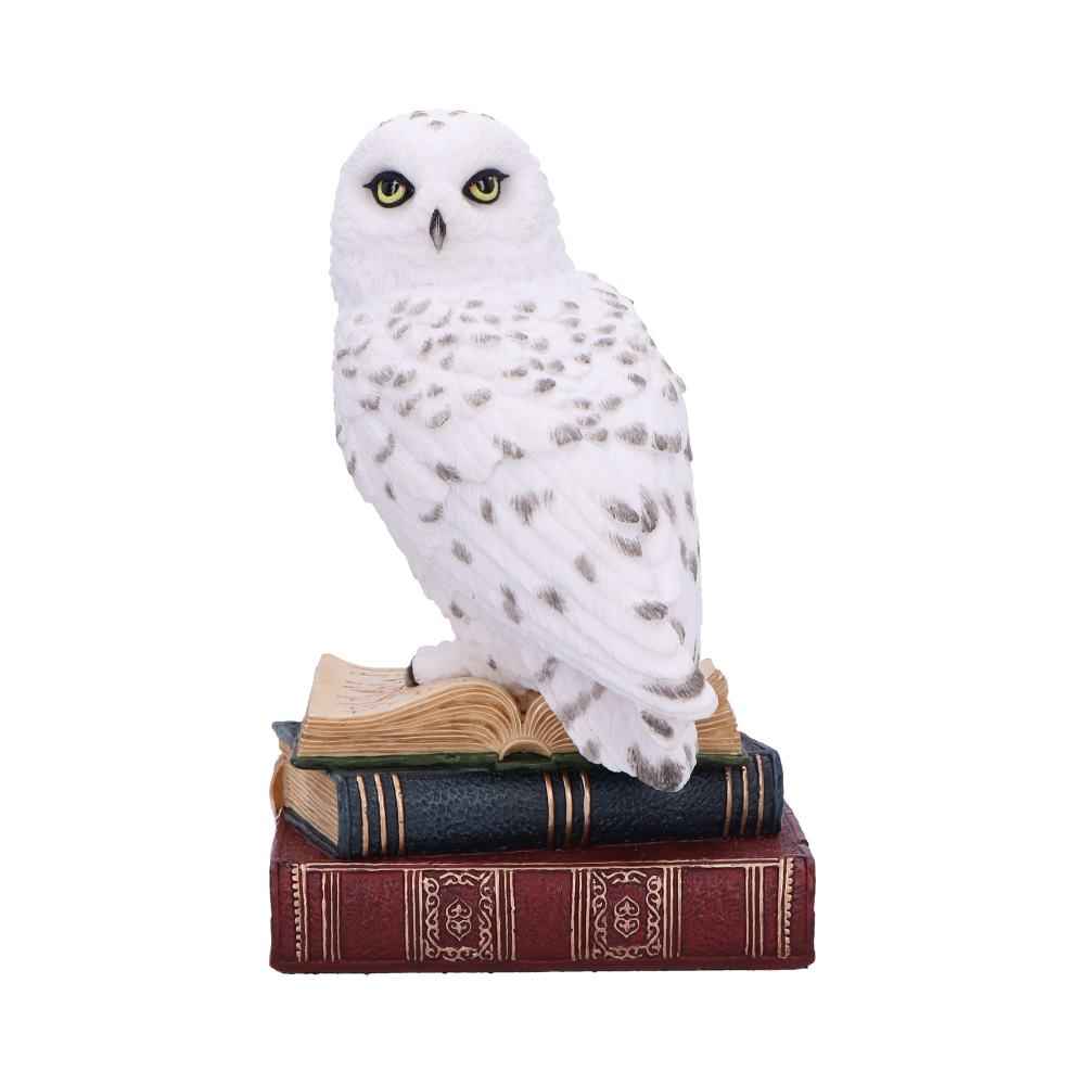 Figurine de hibou blanc de la bibliothèque de la sagesse de Nemesis Now, une décoration captivante symbolisant la sagesse et la magie féérique, idéale pour embellir votre intérieur.
