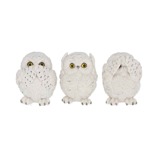 Stylish figurine hibou by Nemesis Now - Trois Hiboux Sages en Résine 8 cm, adding elegance and wisdom to your decor.