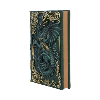 Grimoire du Dragon de Nemesis Now avec un dragon vert en résine sur la couverture, parfait pour les passionnés de fantasy.
