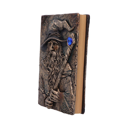Box de protection en PVC transparent pour le Grimoire du Magicien de Nemesis Now, un cadeau parfait pour les passionnés de fantasy et collecte.