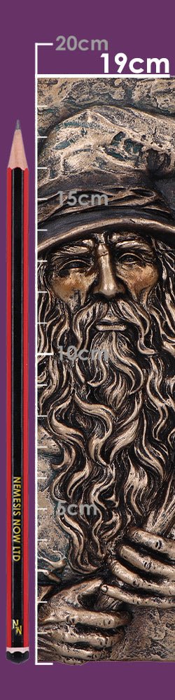 Pages du Grimoire du Magicien de Nemesis Now, conçues pour inspirer l'écriture créative et les sorts, offrant un espace pour l'imagination.