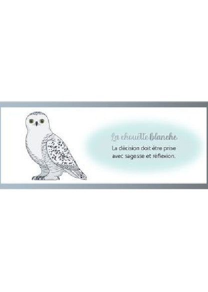 Illustration de la boîte de Le Petit Oracle Messager, un jeu de cartes spirituelles pour la guidance et la découverte intérieure.