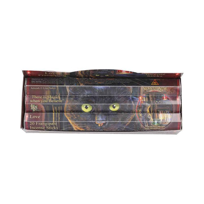 Bâtonnets d'encens parfumés au frangipanier de Lisa Parker, vendus par Nemesis Now, offrant une expérience olfactive magique.