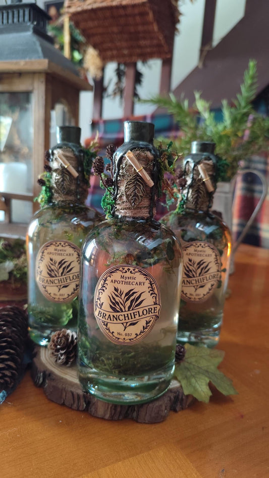 Potion Branchiflore de Le Grimoire d'Elie, un élixir enchanteur qui transforme votre espace en un sanctuaire magique et créatif.