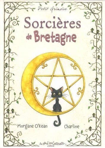 Image captivante du grimoire 'Sorcières de Bretagne' par le vendeur AU BORD DES CONTINENTS, dévoilant les mystères et la magie des guérisseuses bretonnes.