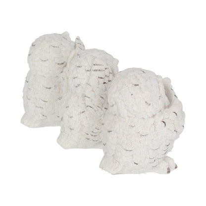 L'ensemble des trois figurines de chouettes sages 8 cm, parfait pour décorer un espace avec une touche de philosophie et de mystère.