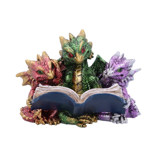 Contes de feu Livre de lecture Figurine de dragon