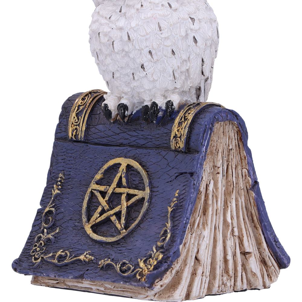 Vue latérale de la figurine de chouette sur un livre de sort 12,5 cm, capturant l'essence de la magie et de la sagesse ésotérique.
