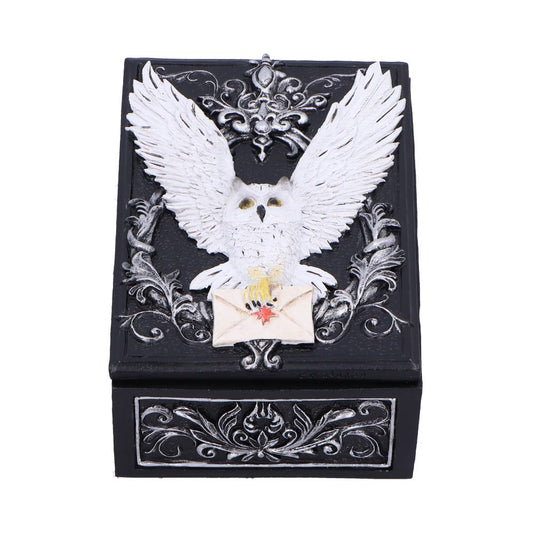 Boîte de bibelots Owl Messenger