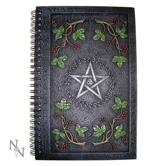 Wiccan Livre des Ombres Journal avec une couverture en résine de pentagramme de Nemesis Now, idéal pour vos écritures ésotériques, combinant mystique et élégance.